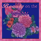 Beauty of the WWW